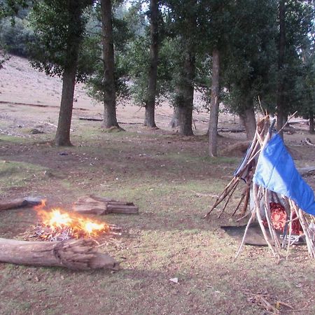 Bed And Breakfast Ifrane  Dış mekan fotoğraf