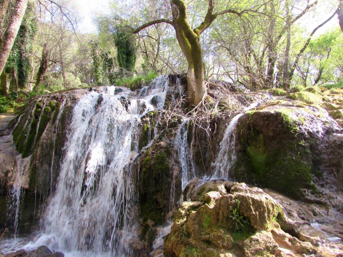 Bed And Breakfast Ifrane  Dış mekan fotoğraf