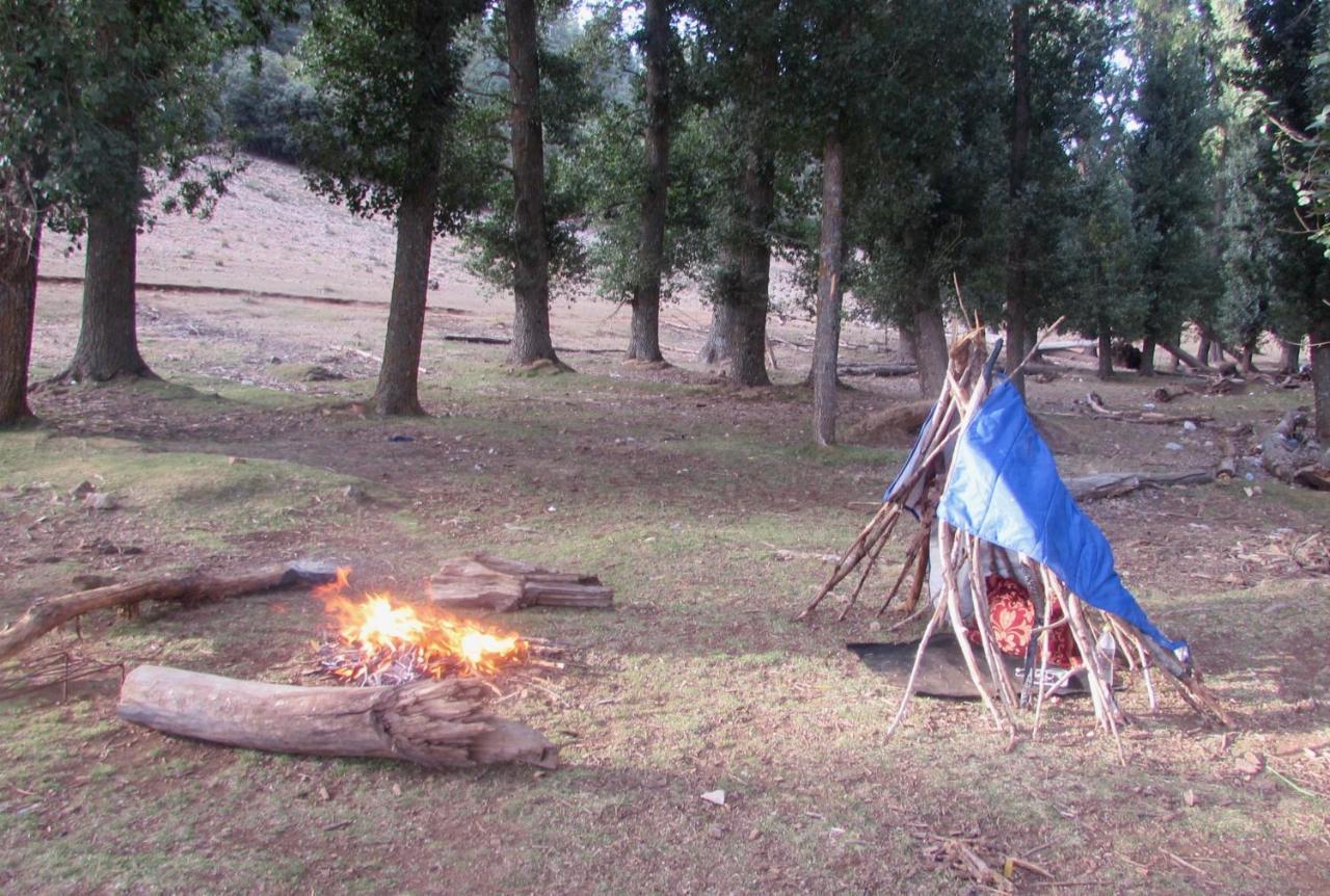 Bed And Breakfast Ifrane  Dış mekan fotoğraf